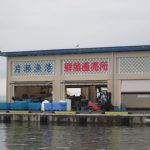 江の島地魚　江の島漁協で仕入れてました。出張寿司・ケータリング・宅配寿司