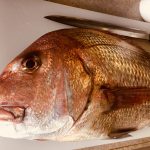 2018/02/12 寿司会開催 マダイ、ブリ 急募！釣り魚買取り 連絡ください。