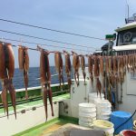 相模湾スルメイカ釣りの仕掛けと釣果2021年6月神奈川県鎌倉市