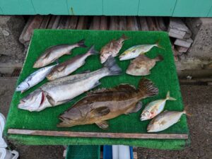 三重県から釣って来られました